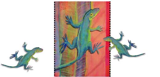 anole threesome